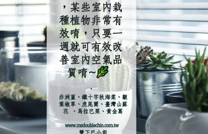 最近空氣不好，某些室內栽種植物，有效改善室內空氣~