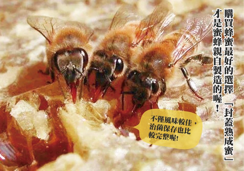 購買蜂蜜最好的選擇：封蓋熟成蜜