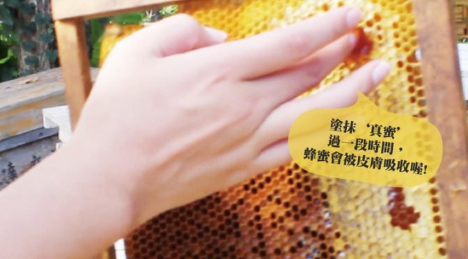 真正的蜂蜜會被皮膚吸收
