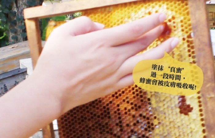 蜂蜜大有功效, 但如何分辦真蜜和假蜜？